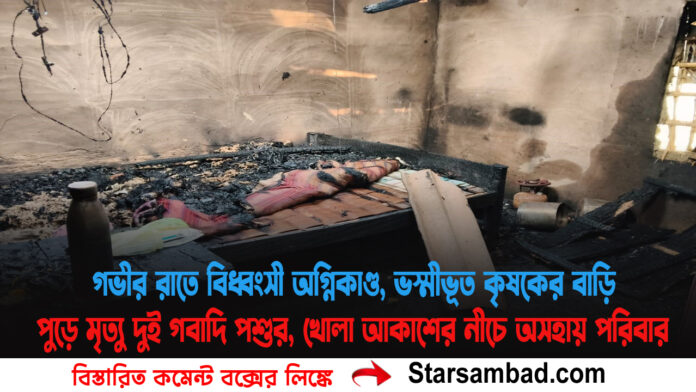 PORTAL SK B copy.jpg 2