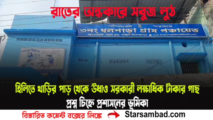 PORTAL SK B copy.jpg 5