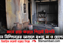 গ্যাস সিলিন্ডারের আগুনে মৃ*ত্যু মা ও ছেলের! মাংস রান্না করতে গিয়েই বিপত্তি