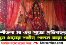 শীতলা মা এর পুজো প্রতিবছর ধুম ধামের শহীদ পালন করা হয়