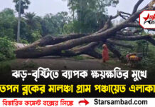 ঝড়-বৃষ্টিতে ব্যাপক ক্ষয়ক্ষতির মুখে তপন ব্লকের মালঞ্চা গ্রাম পঞ্চায়েত এলাকা