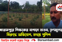 “উলট পুরান”বিজেপির সমর্থক হওয়ায় এক শিক্ষকের প্রায় আড়াইশো গাছ কাটা পড়ল রাতের অন্ধকারে