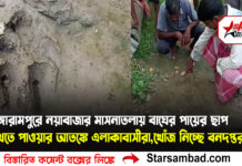 গঙ্গারামপুরে নয়াবাজার মাসনাতলায় বাঘের পায়ের ছাপ দেখতে পাওয়ার আতঙ্কে এলাকাবাসীরা,খোঁজ নিচ্ছে বনদপ্তর