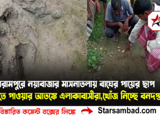 গঙ্গারামপুরে নয়াবাজার মাসনাতলায় বাঘের পায়ের ছাপ দেখতে পাওয়ার আতঙ্কে এলাকাবাসীরা,খোঁজ নিচ্ছে বনদপ্তর