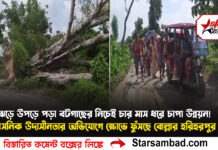 ঝড়ে উপড়ে পড়া বটগাছের নিচেই চার মাস ধরে চাপা উন্নয়ন! প্রশাসনিক উদাসীনতার অভিযোগে ক্ষোভে ফুঁসছে বোল্লার হরিহরপুর গ্রাম