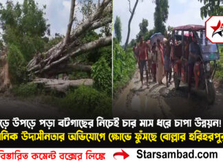 ঝড়ে উপড়ে পড়া বটগাছের নিচেই চার মাস ধরে চাপা উন্নয়ন! প্রশাসনিক উদাসীনতার অভিযোগে ক্ষোভে ফুঁসছে বোল্লার হরিহরপুর গ্রাম