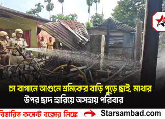 চা বাগানে আগুনে শ্রমিকের বাড়ি পুড়ে ছাই, মাথার উপর ছাদ হারিয়ে অসহায় পরিবার
